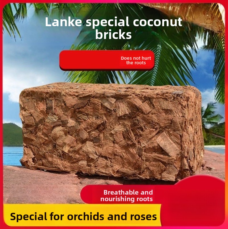 유기 비료가 함유된 코코넛 코이어 블록 500g, 난초 - Substrate Coconut Fiber 리뷰 및 가격