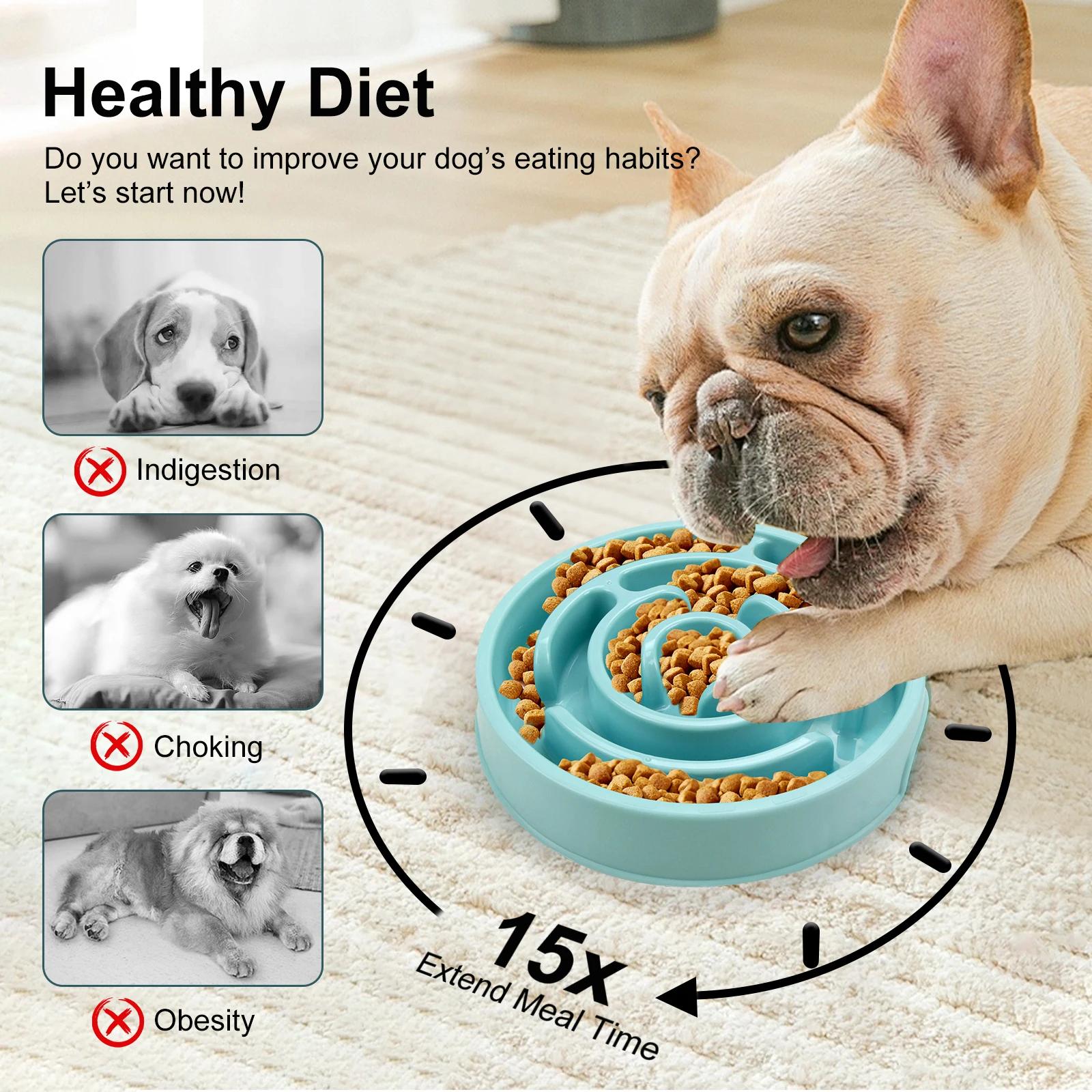 반려견 슬로우 급식기 그릇 재미있는 미끄럼 방지 급식  - Royal Canin Food Medium 리뷰 및 가격